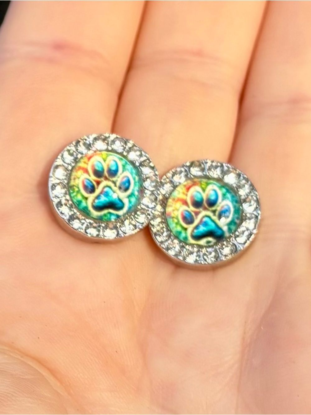 🐾 🌈 Colorful Paw Print CZ Stud Earrings for Pet Lovers Silver-Tone